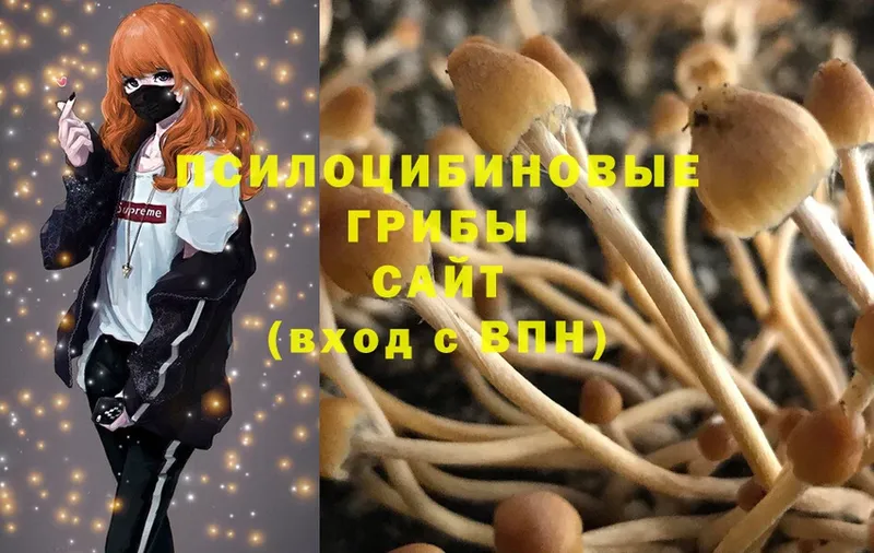 Галлюциногенные грибы Magic Shrooms  Тулун 